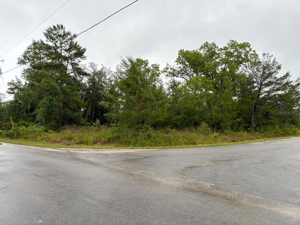 Photo of 1 Malauka Radial Drive, Ocklawaha, FL 32179 (MLS # S5147473)