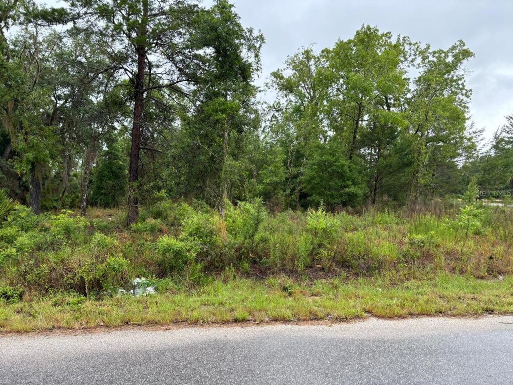 Photo of 1 Malauka Radial Drive, Ocklawaha, FL 32179 (MLS # S5147473)