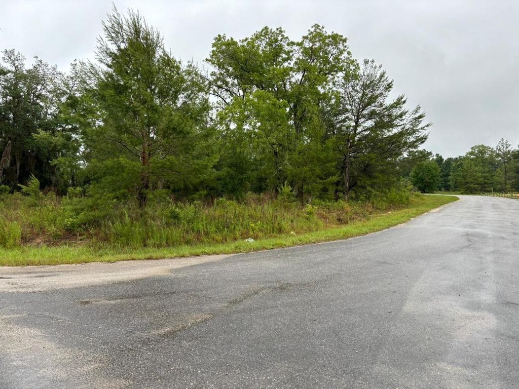 Photo of 1 Malauka Radial Drive, Ocklawaha, FL 32179 (MLS # S5147473)