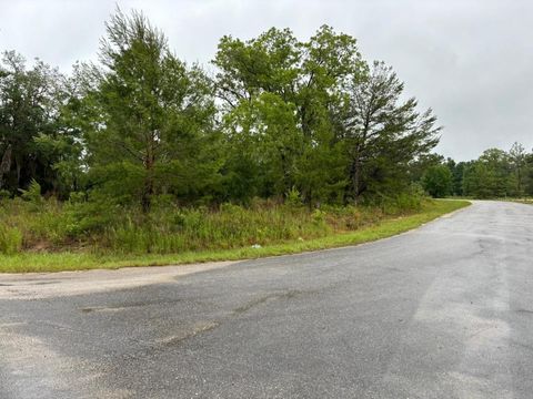 1 MALAUKA RADIAL DRIVE OCKLAWAHA FL 32179