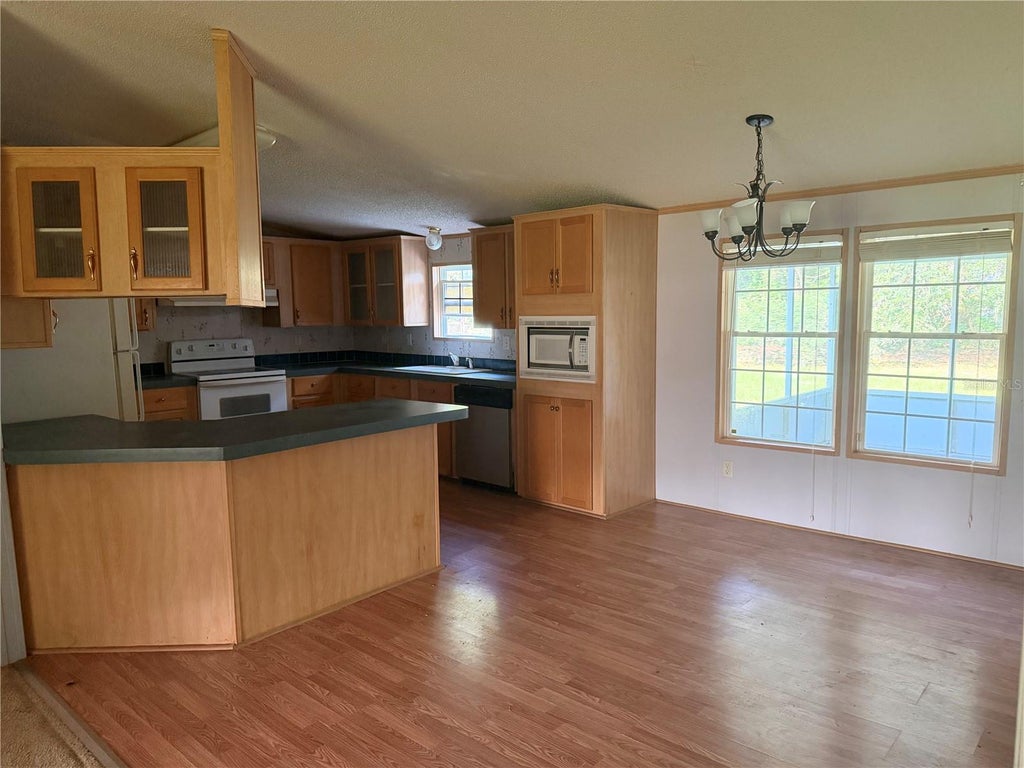 Photo of 17131 NW 83rd Court, Fanning Springs, FL 32693 (MLS # OM733450)