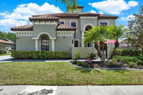 8420 DUNHAM STATION DRIVE TAMPA FL 33647