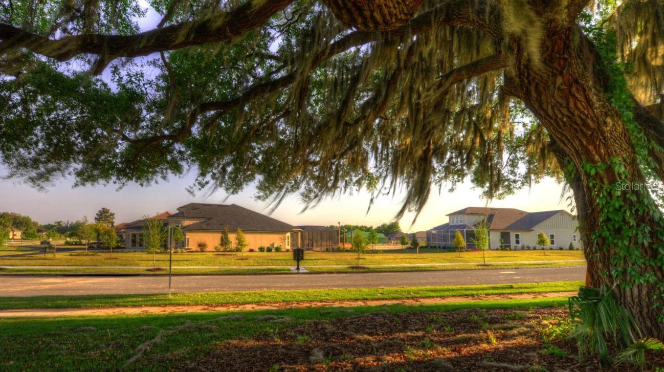12032 SW 31ST