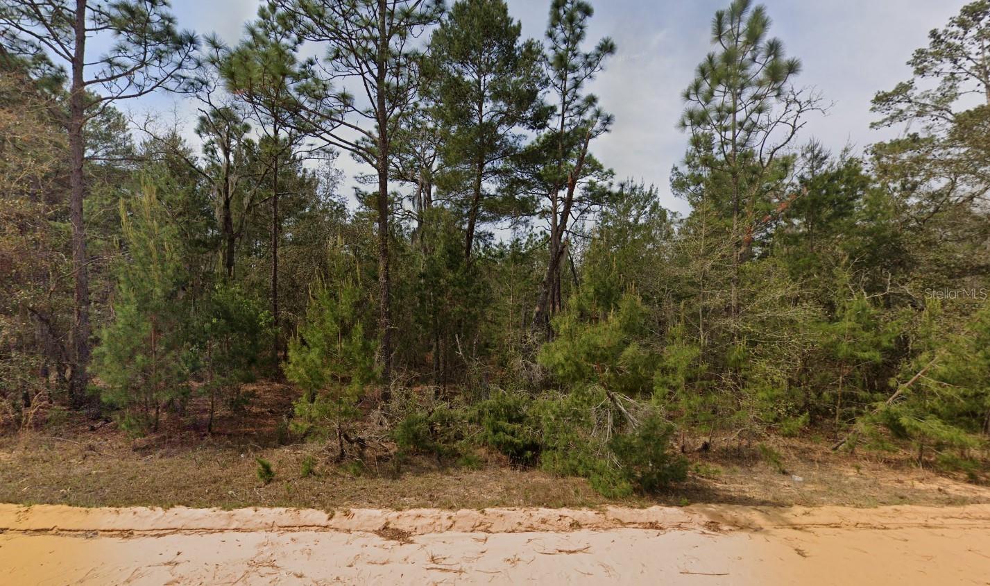 INTERLACHEN LAKES ESTATES - Land