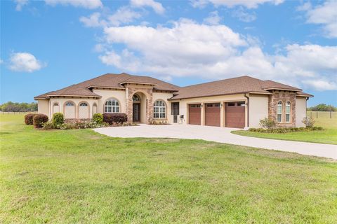 Photo of 35651 Huff Road, Eustis, FL 32736 (MLS # O6306428)