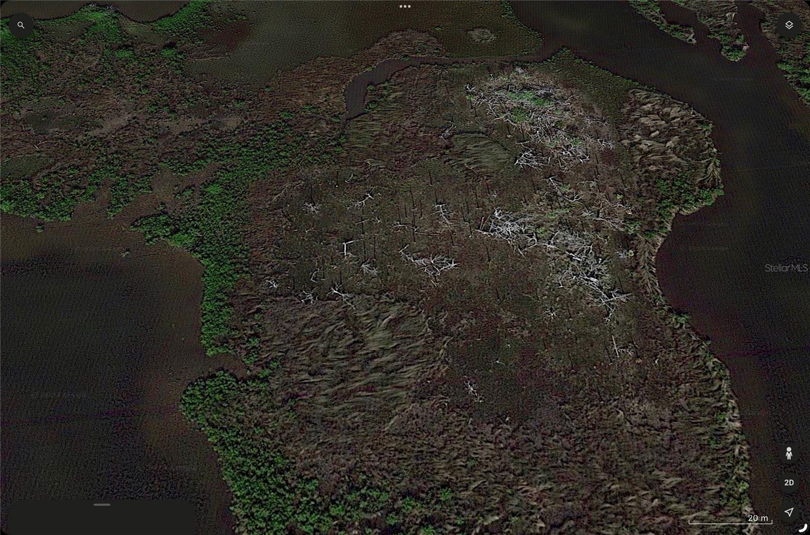 15021 THE LITTLE HOMOSASSA
