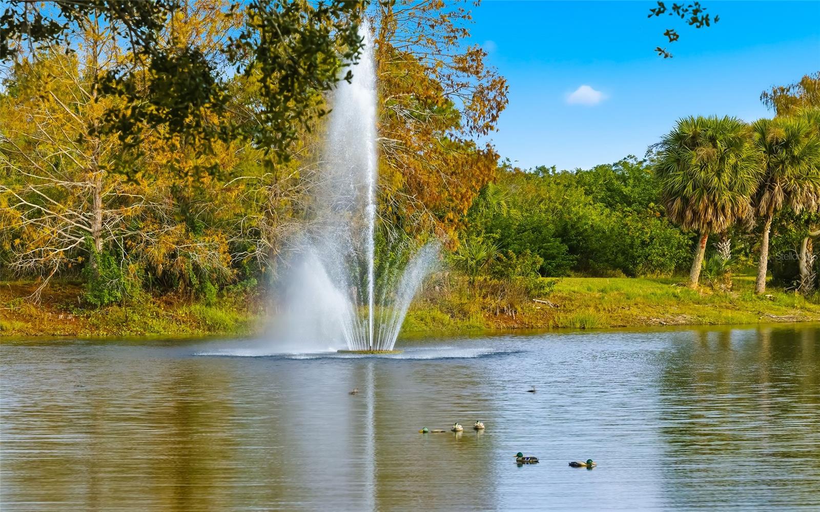 VILLAGEWALK - Residential