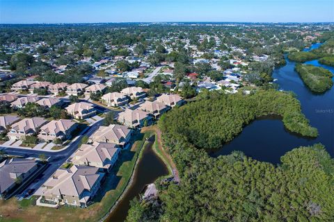 A home in SEMINOLE