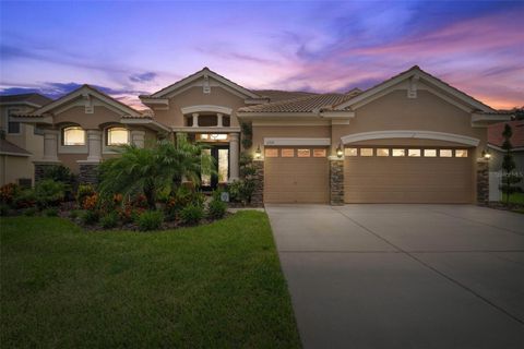 11519 BELLE HAVEN DRIVE NEW PORT RICHEY FL 34654