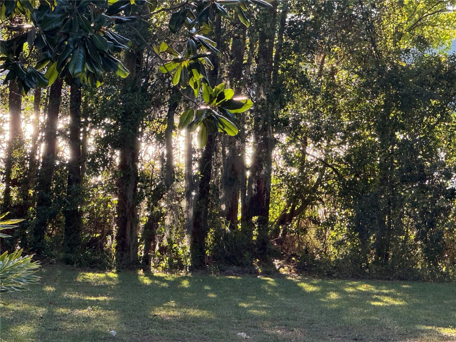 ORANGE TREE COUNTRY CLUB - Residential