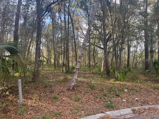 BELLECHASE WOODLANDS - Land