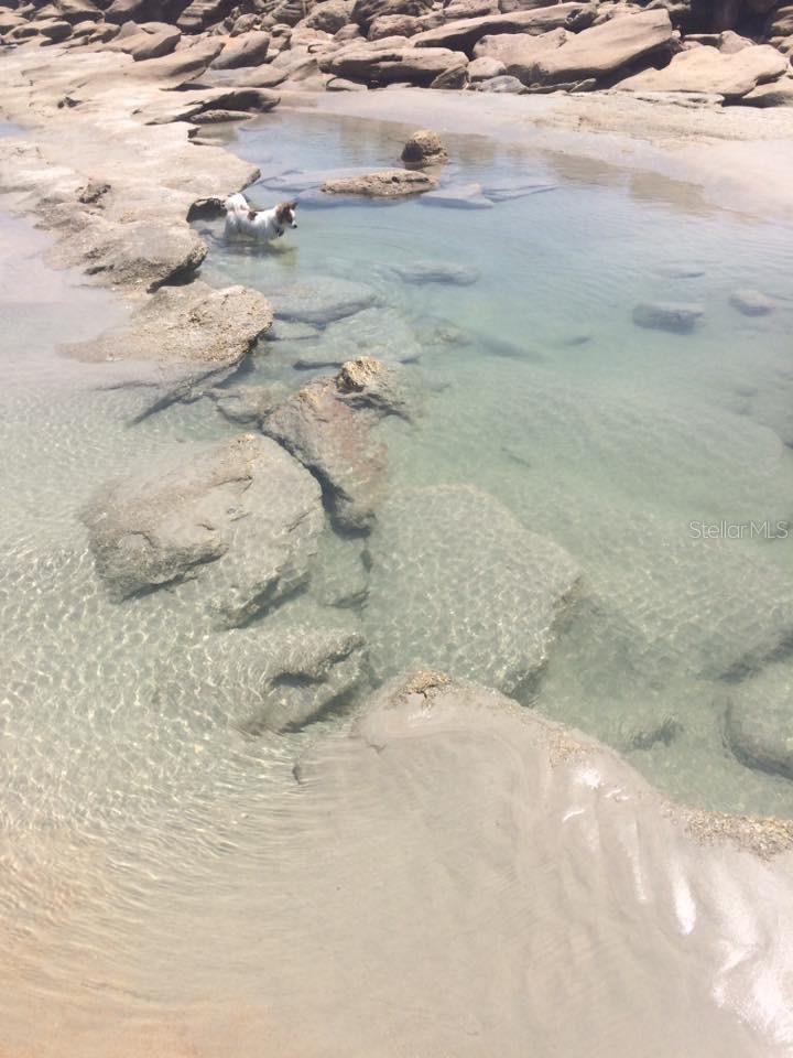 BEACH HAVEN-UN 2 - Residential