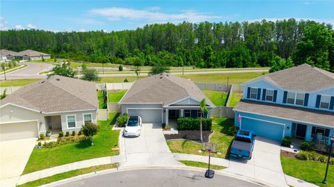 Photo of 18379 Falling Pine Needle Lane, Land O Lakes, FL 34638 (MLS # W7885378)