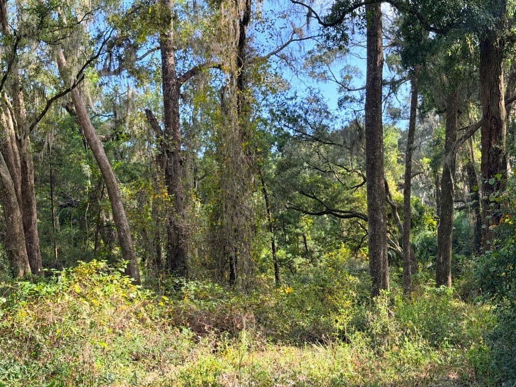 Photo of 1190 NW 92nd Place, Chiefland, FL 32626 (MLS # GC544538)