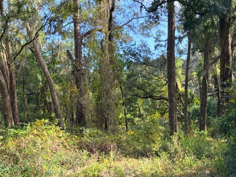 Tiny photo for 1190 NW 92nd Place, Chiefland, FL 32626 (MLS # GC544538)