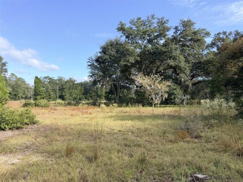 Tiny photo for 1190 NW 92nd Place, Chiefland, FL 32626 (MLS # GC544538)