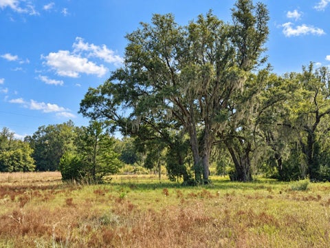 Tiny photo for 1190 NW 92nd Place, Chiefland, FL 32626 (MLS # GC544538)