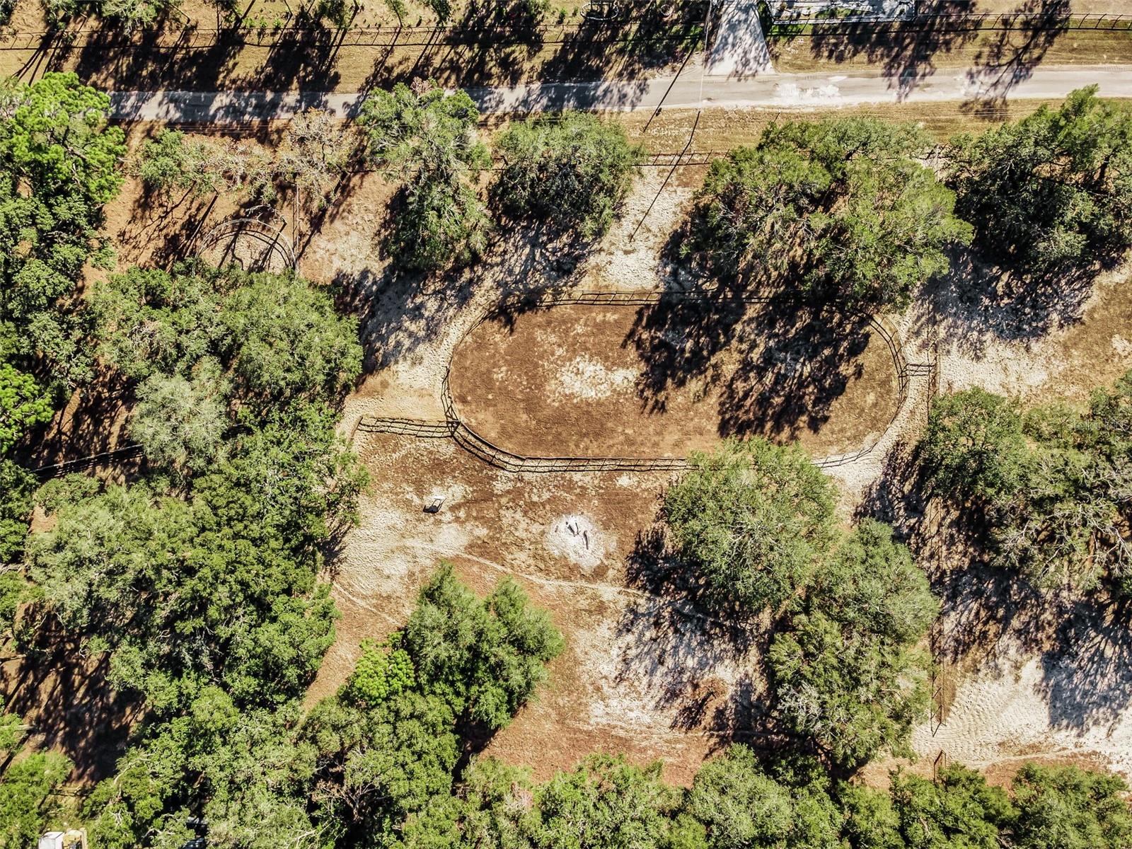 TRILBY TRAILS - Land