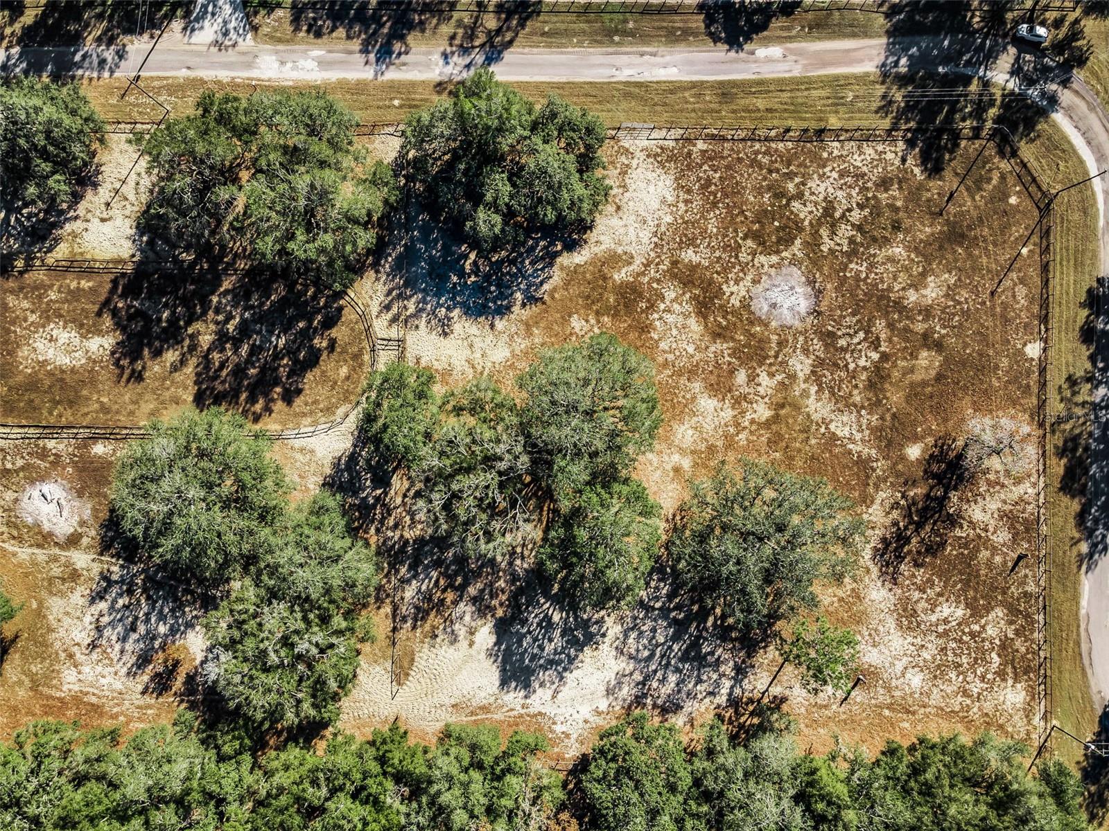 TRILBY TRAILS - Land