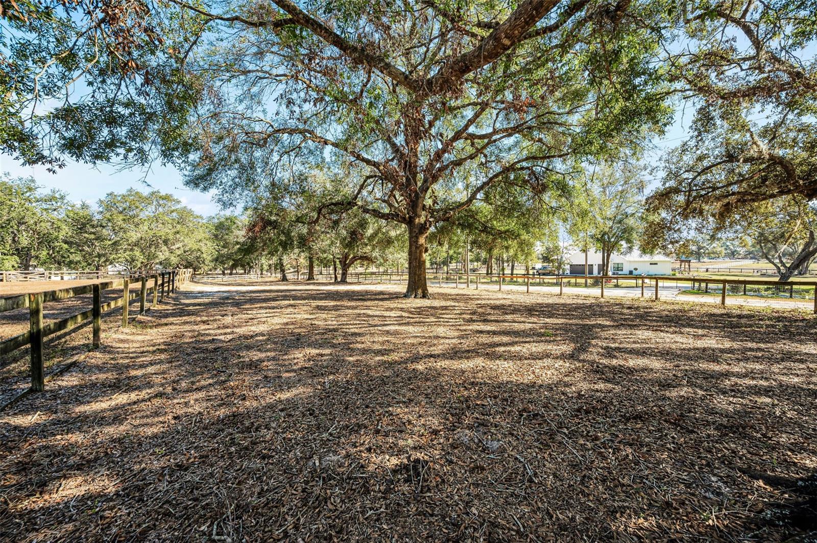 TRILBY TRAILS - Land