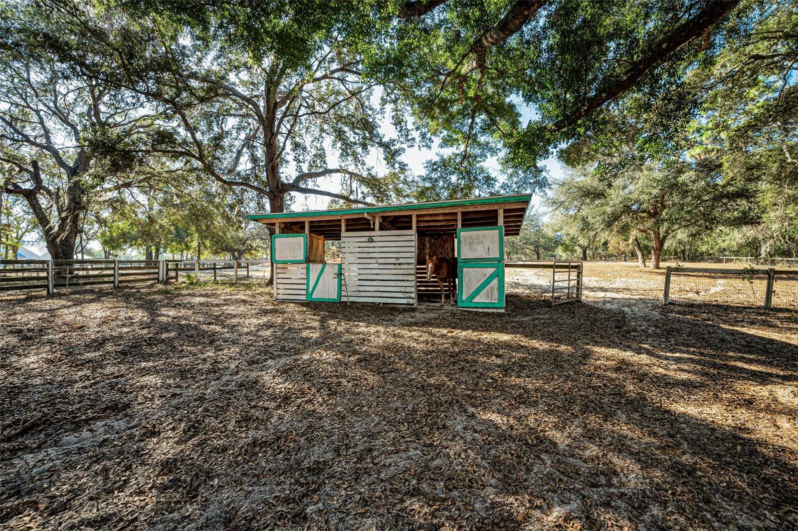 TRILBY TRAILS - Land