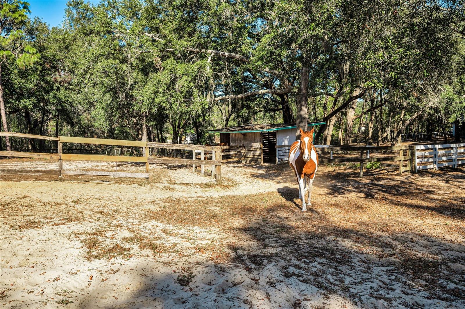 TRILBY TRAILS - Land