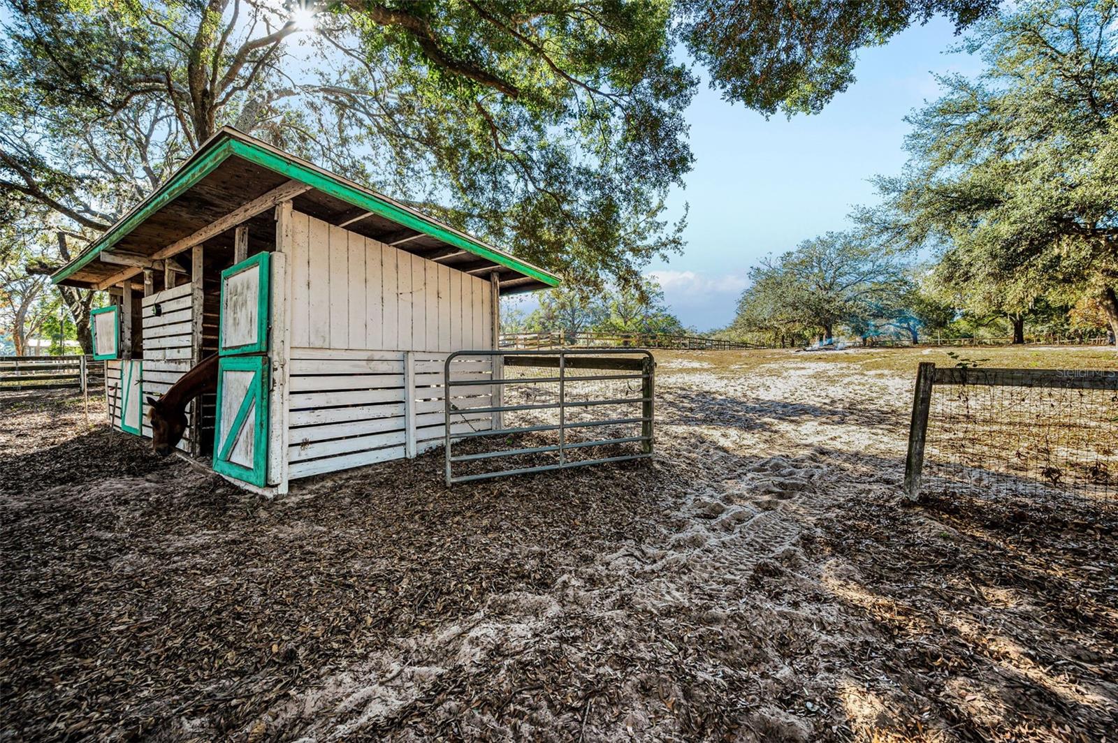 TRILBY TRAILS - Land