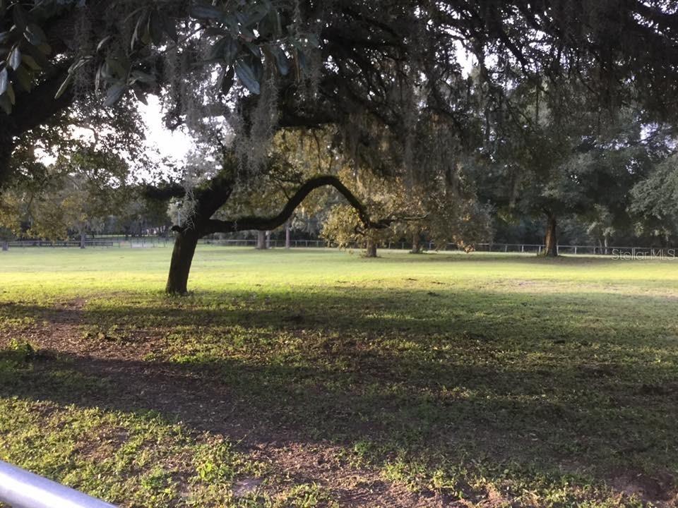 TRILBY TRAILS - Land