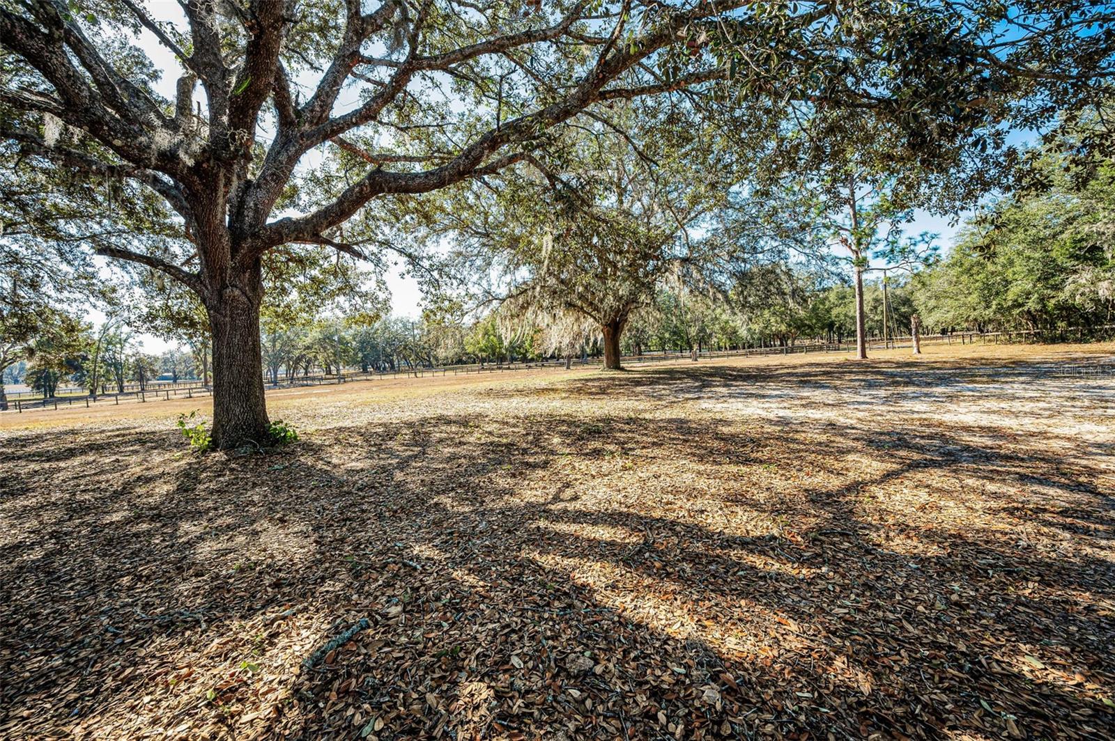 TRILBY TRAILS - Land