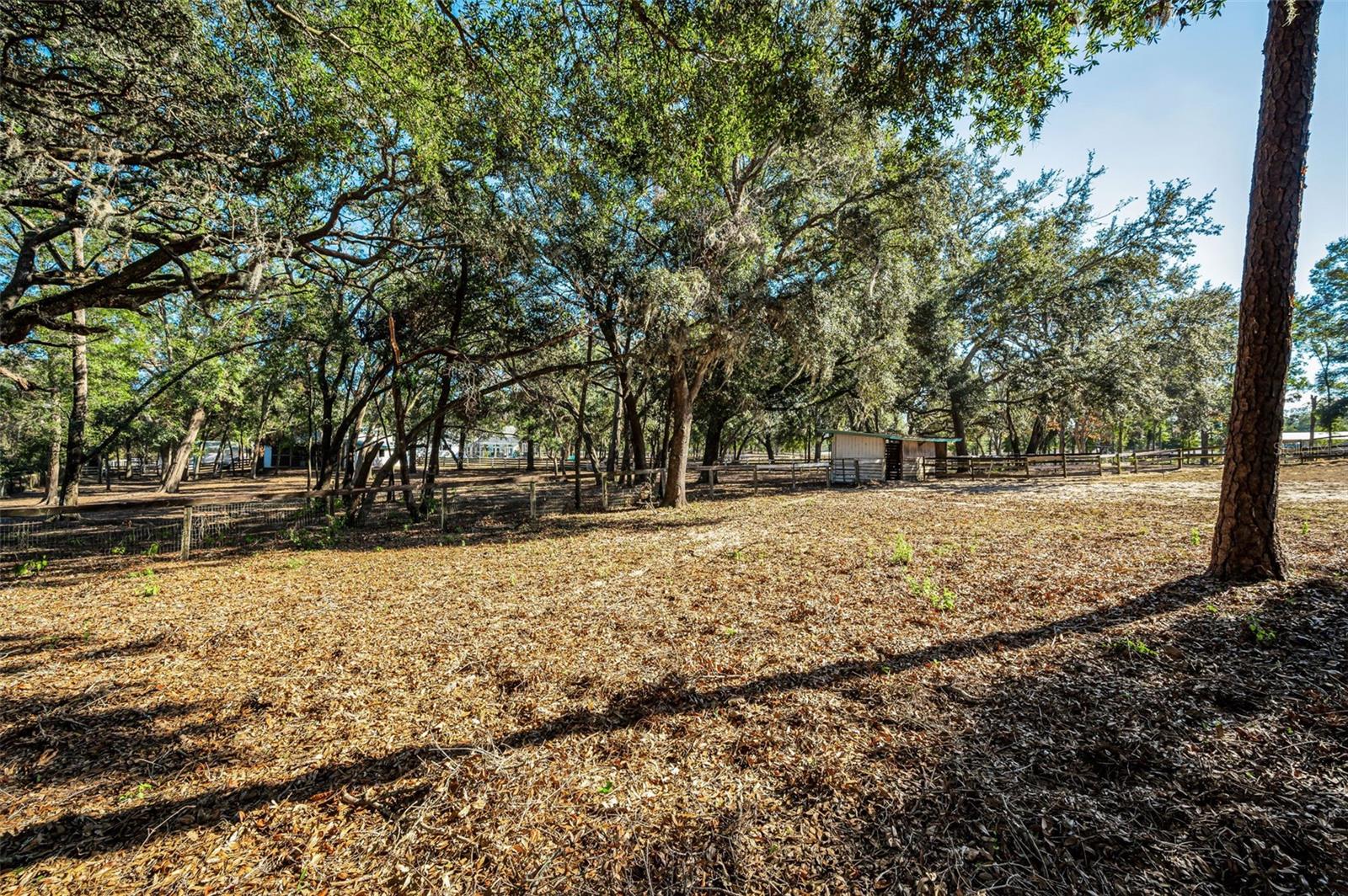 TRILBY TRAILS - Land