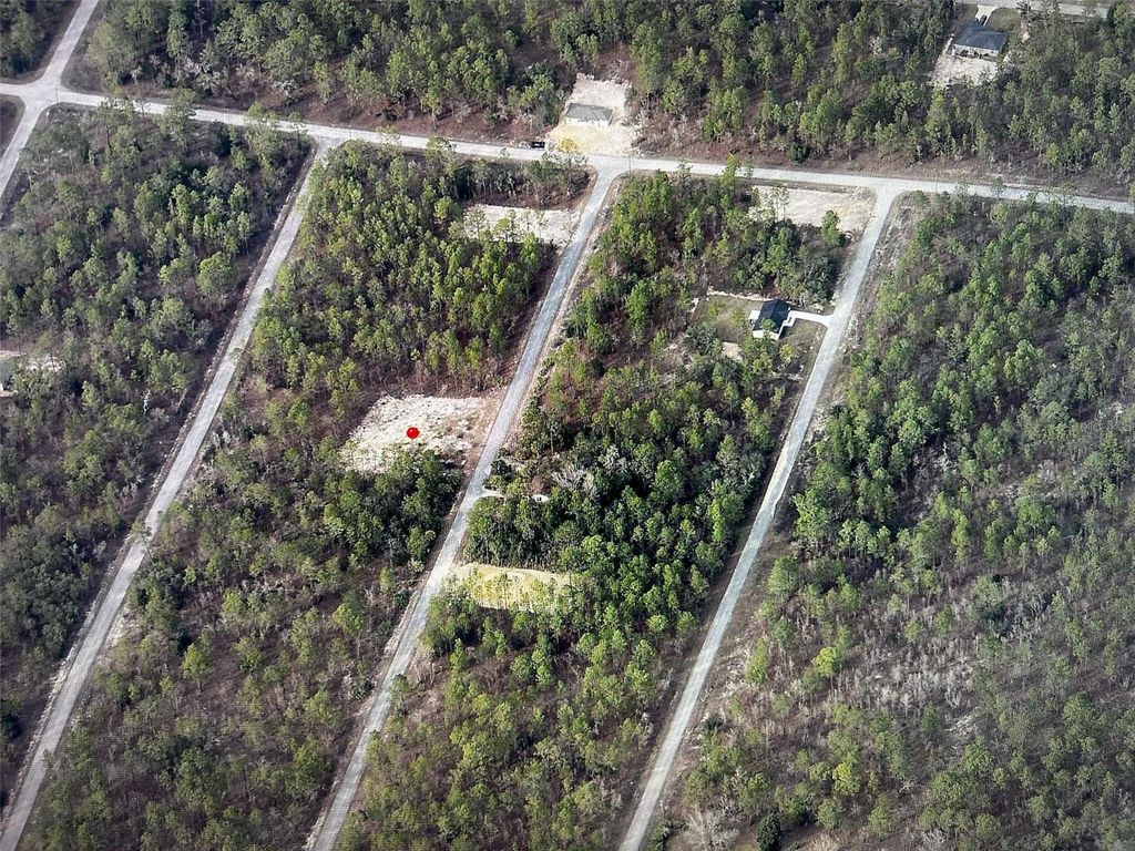 Photo of Narcissus, Dunnellon, FL 34431 (MLS # O6363307)