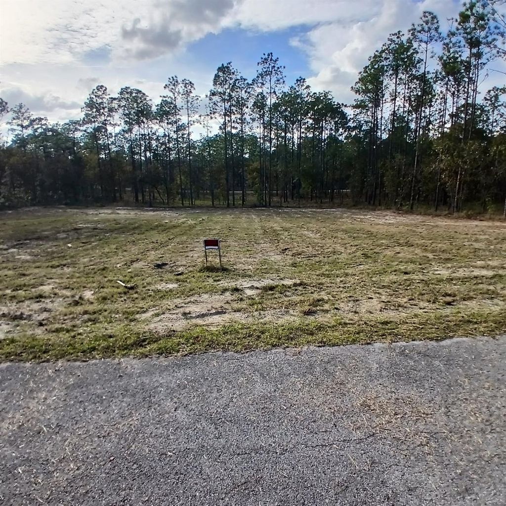 Photo of Narcissus, Dunnellon, FL 34431 (MLS # O6363307)
