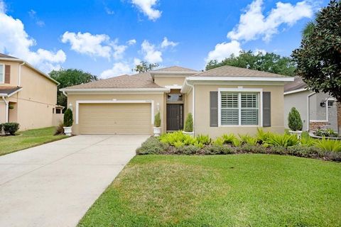11415 COVENTRY GROVE CIRCLE LITHIA FL 33547
