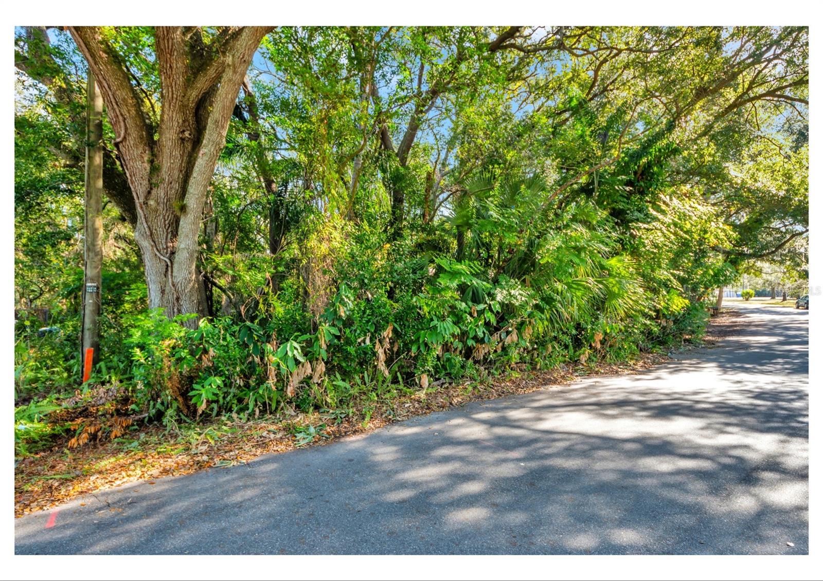 TAMPAS NORTH SIDE CNTRY CL - Residential