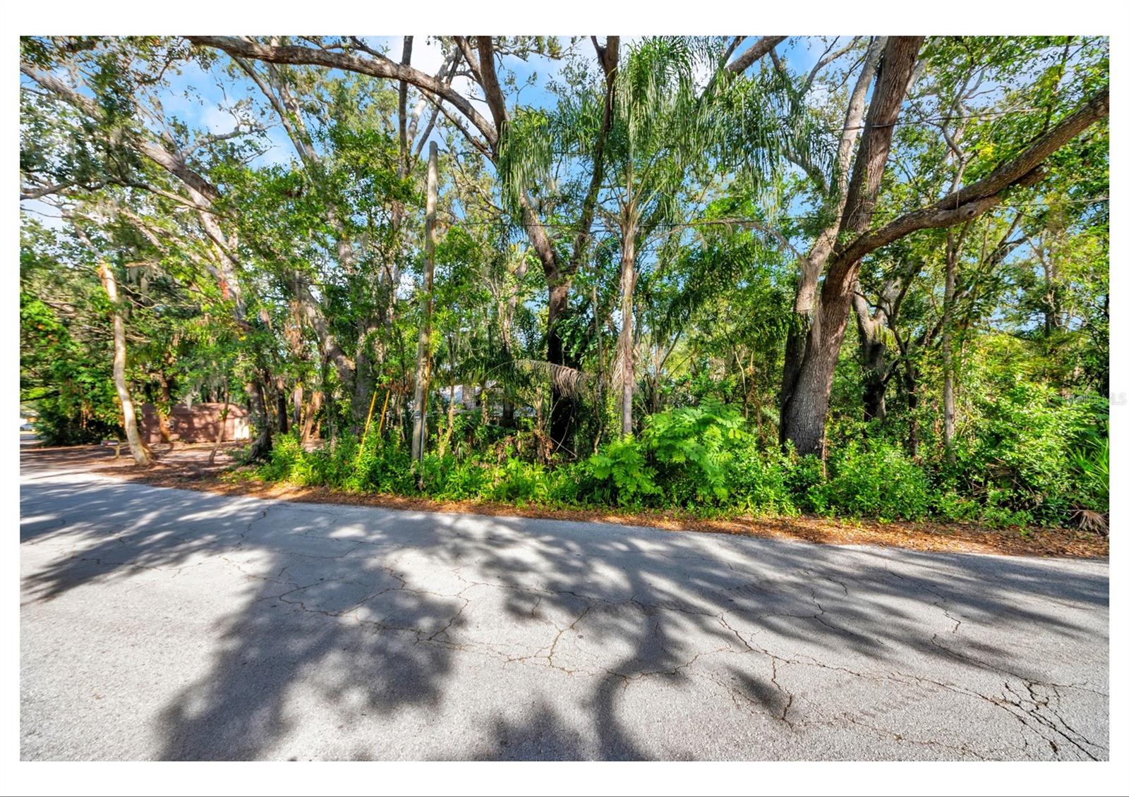 TAMPAS NORTH SIDE CNTRY CL - Residential