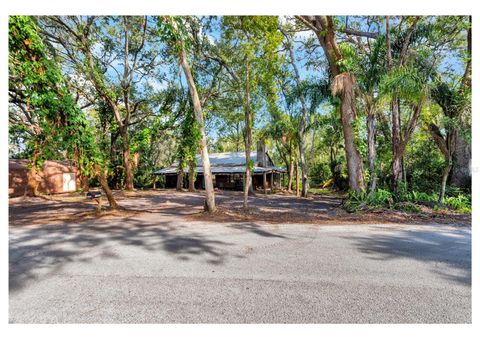 Photo of 12805 Forest Hills Drive, Tampa, FL 33612 (MLS # TB8457120)