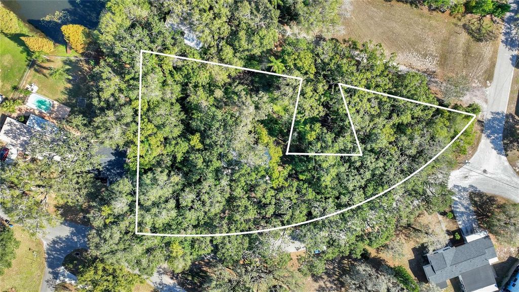 Photo of 12805 Forest Hills Drive, Tampa, FL 33612 (MLS # TB8457120)