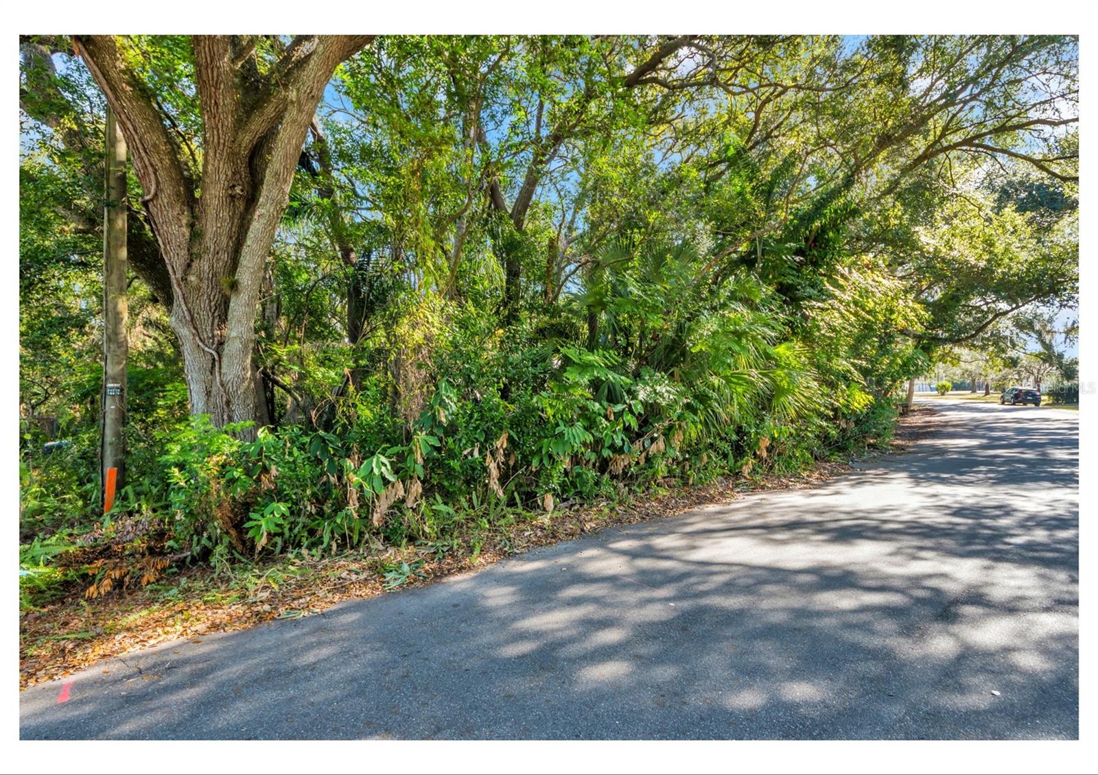 TAMPAS NORTH SIDE CNTRY CL - Residential