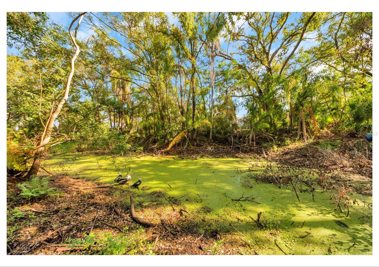 TAMPAS NORTH SIDE CNTRY CL - Residential