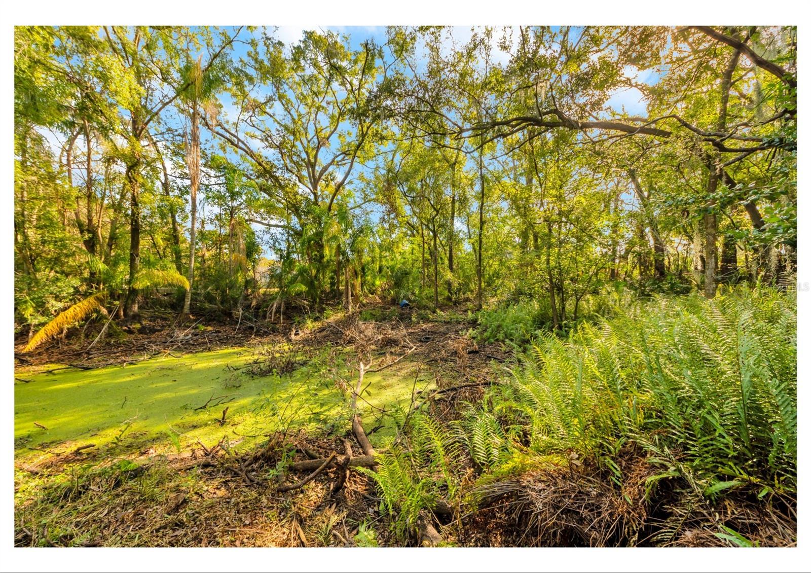 TAMPAS NORTH SIDE CNTRY CL - Residential