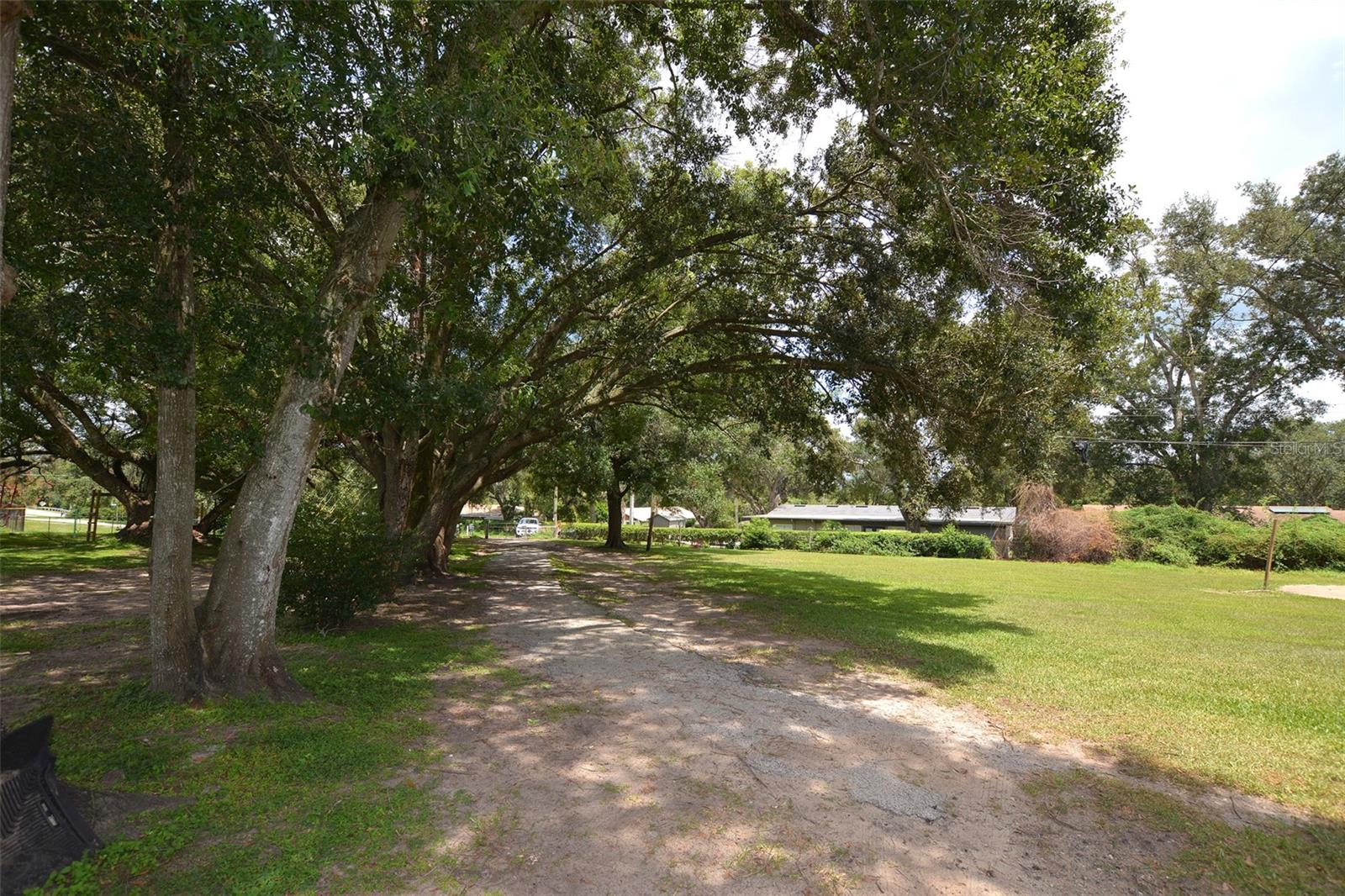 HALLAM & CO SUB - Residential