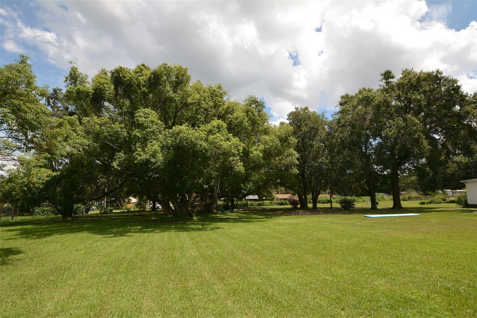 HALLAM & CO SUB - Residential