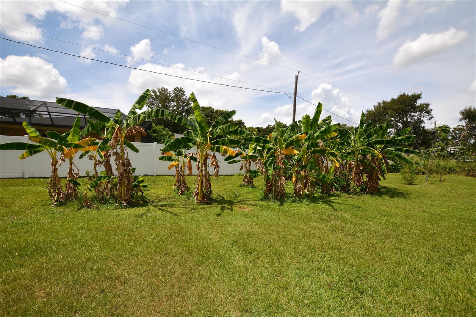 HALLAM & CO SUB - Residential