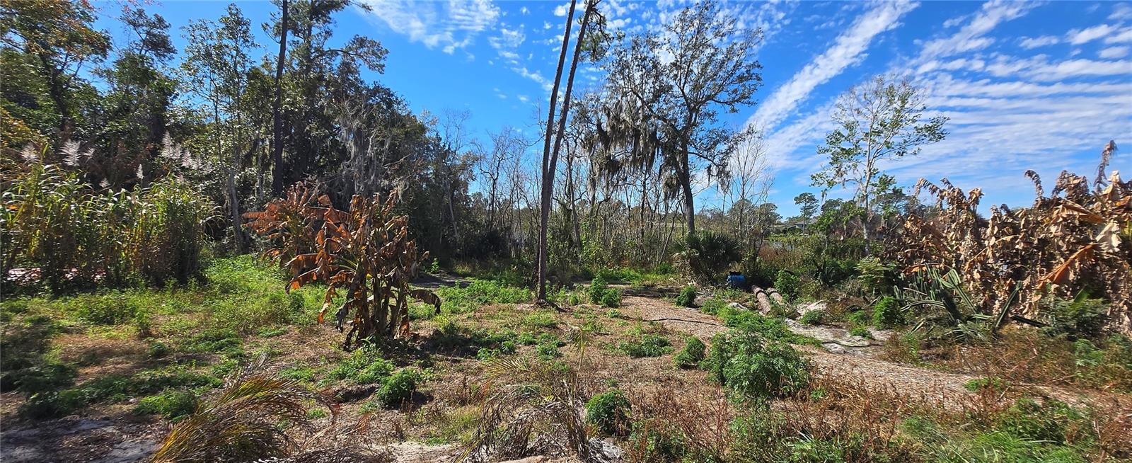 DELTONA LAKES UNIT 28 - Land