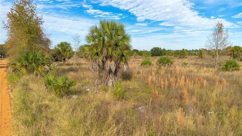 Tiny photo for 28432 S Eichelberger Road, Tavares, FL 32778 (MLS # O6161840)