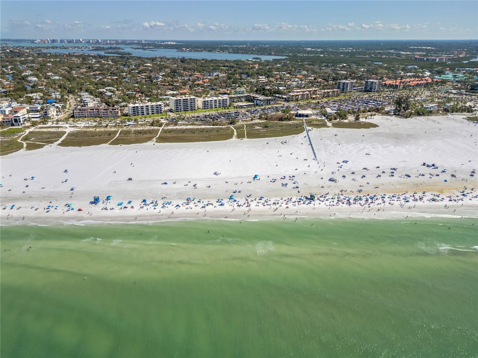 JAMAICA ROYALE ELEV APTS - Residential