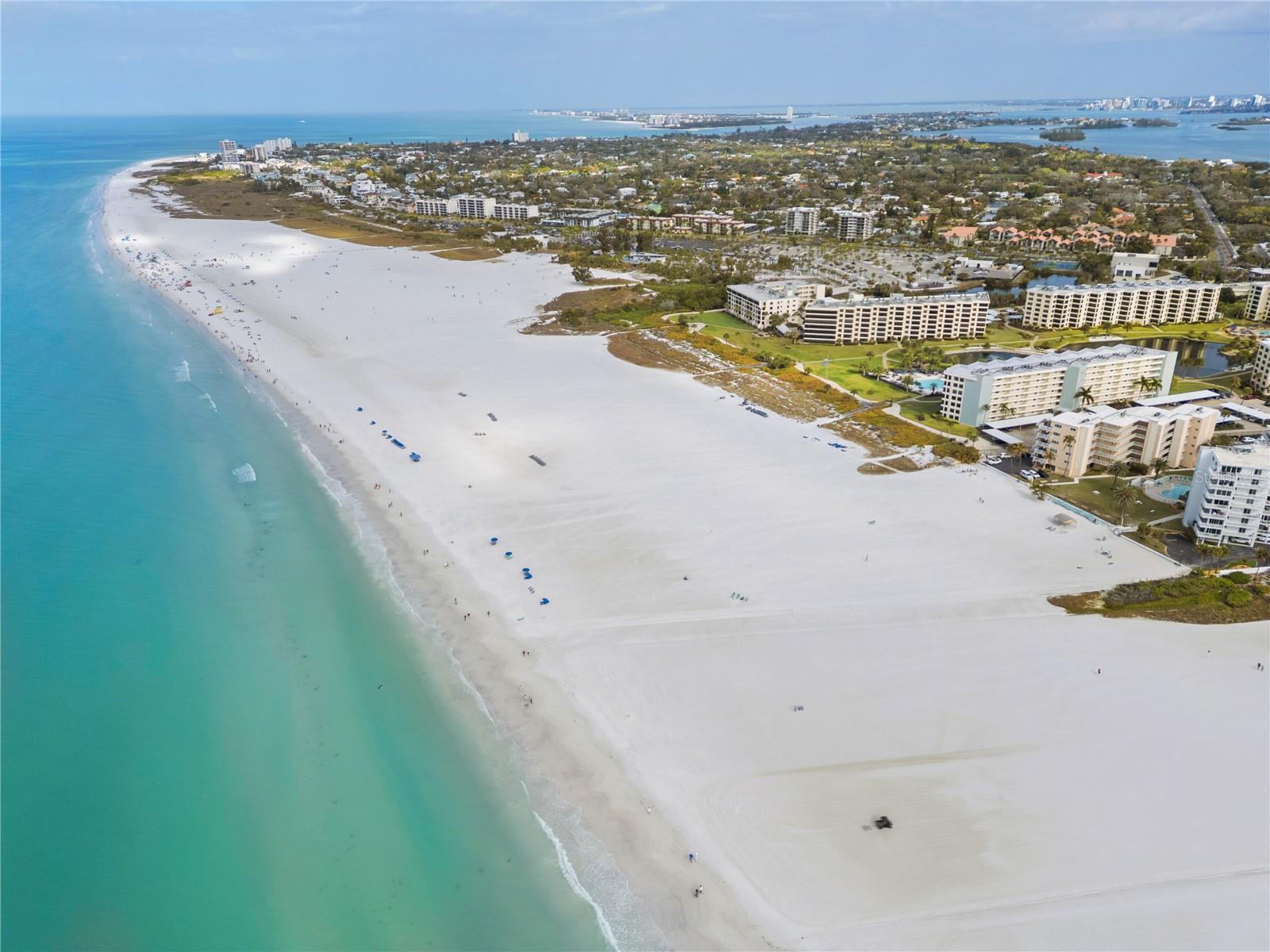 JAMAICA ROYALE ELEV APTS - Residential