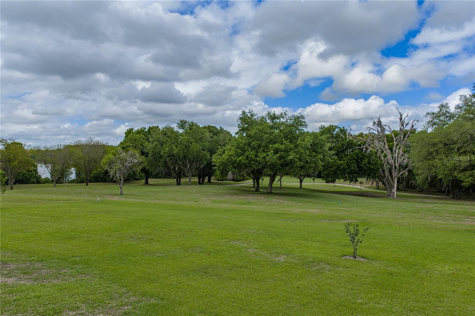 LAKE JOVITA GOLF & COUNTRY CLUB PH 04 A - Residential