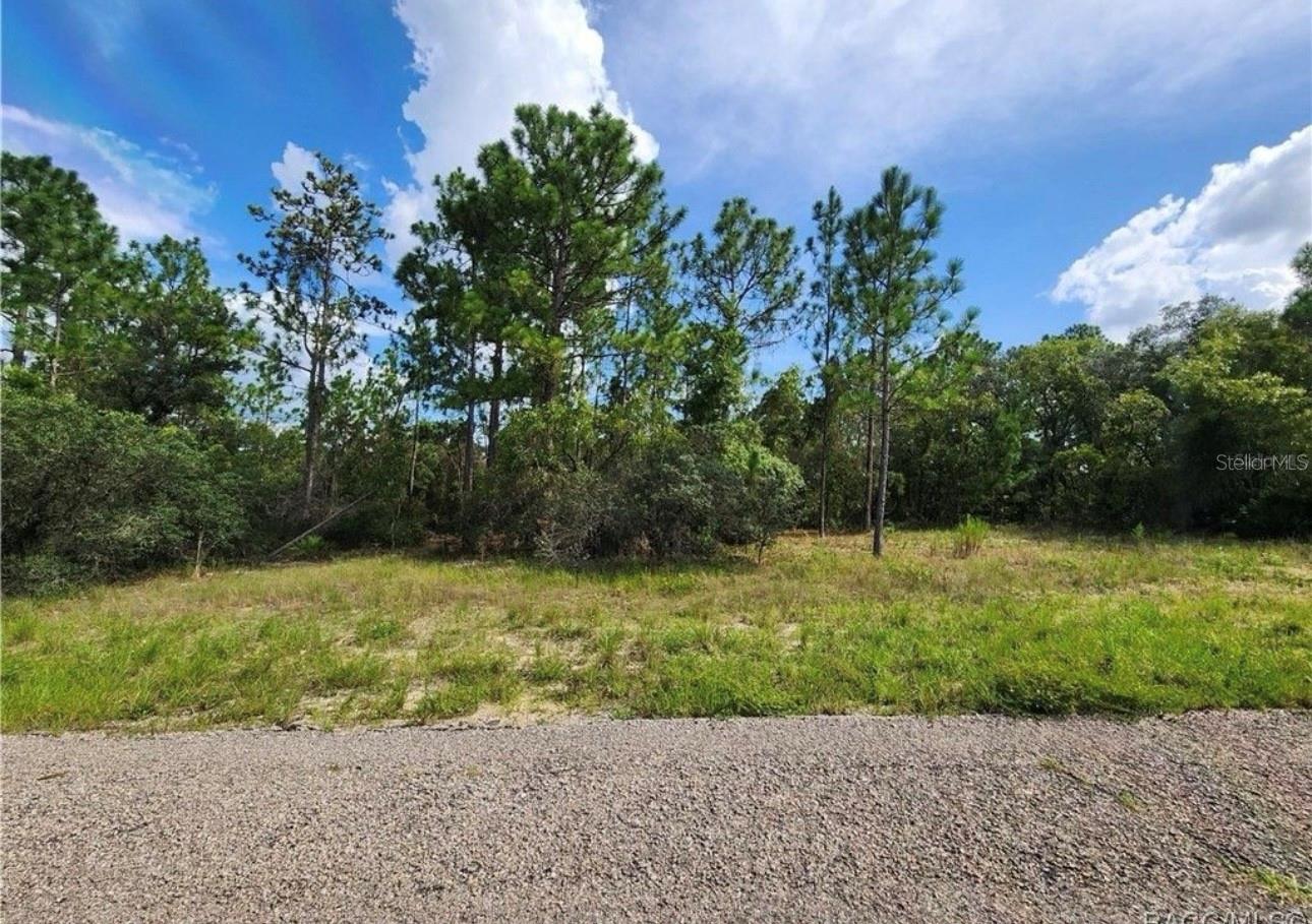 Discover the perfect opportunity to build your custom home or invest in a growing community! This vacant lot at 3504 W Seahorse Lane is nestled in a peaceful residential area with no HOA and minimal restrictions. Enjoy the natural beauty of Dunnellon while being just a short drive from the Rainbow River, Crystal River, state parks, and local shopping. The property offers privacy, space, and flexibility — ideal for those seeking a quiet retreat or long-term investment. Secure your piece of Florida today before prices rise!