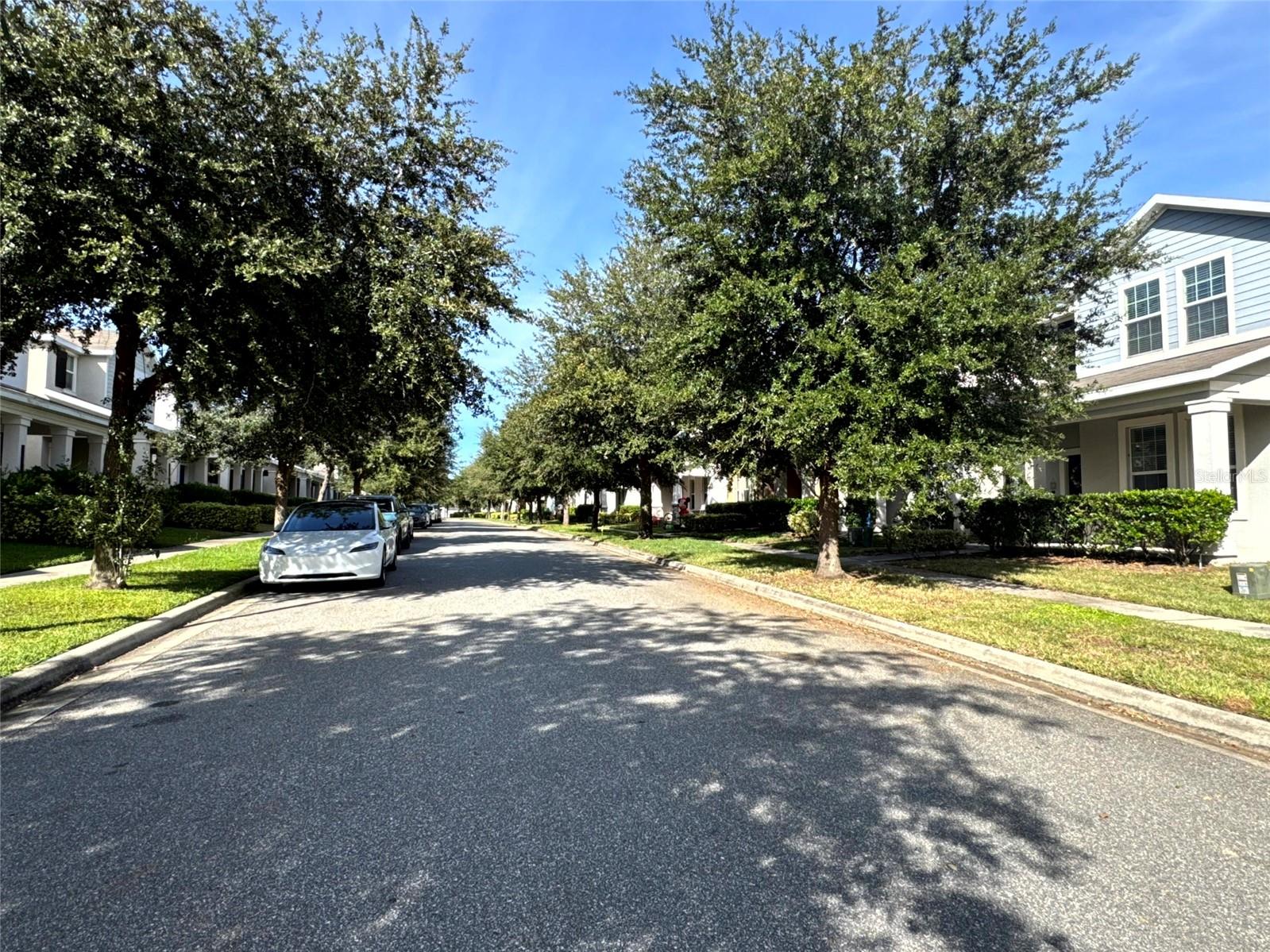 STOREY GROVE PH 1B-1 - Residential